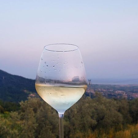 Vinomare Guesthouse ฟอสดิโนโว ภายนอก รูปภาพ